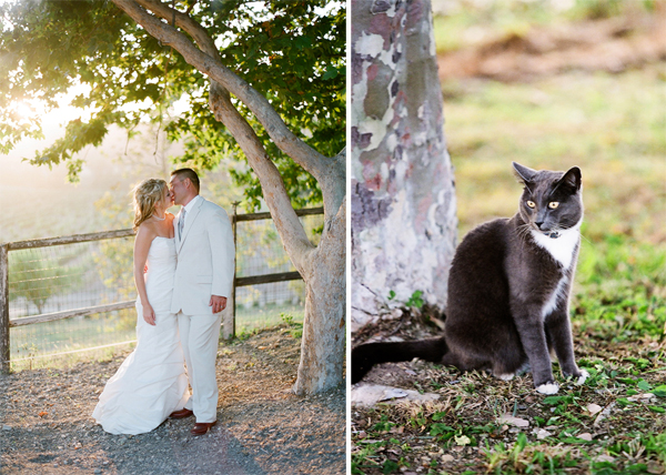 Wedding Koehler Winery California