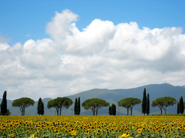 Destination Wedding Florence Italy