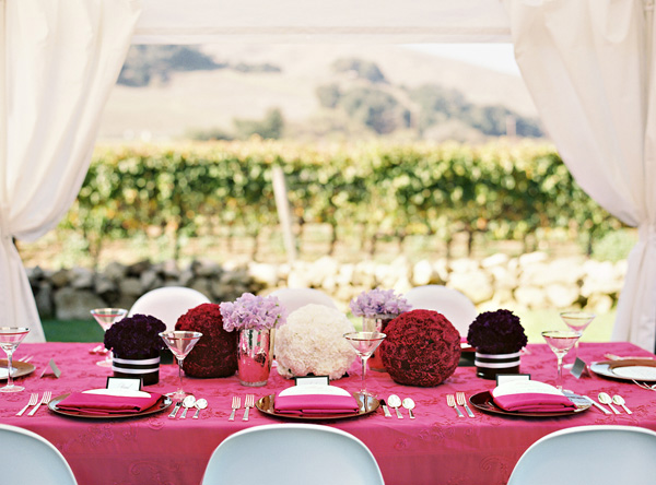 Wedding Lafond Winery & Vineyards