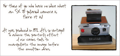 Polaroid SX 70 Manipulations